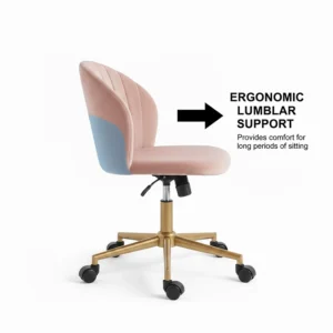 Illustration of the curved backrest design providing lumbar support for comfortable home working.