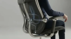 A close-up, side-profile view of the office chair's backrest, highlighting the adjustable lumbar support pad and the precision engineering of the silver support frame.